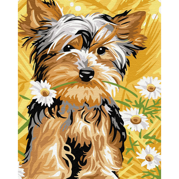 Картина по номерам Тварини, птахи та риби - Мила собачка