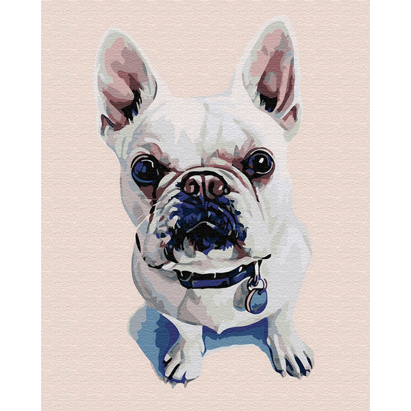 Картина по номерам Тварини, птахи та риби - Милий бульдог