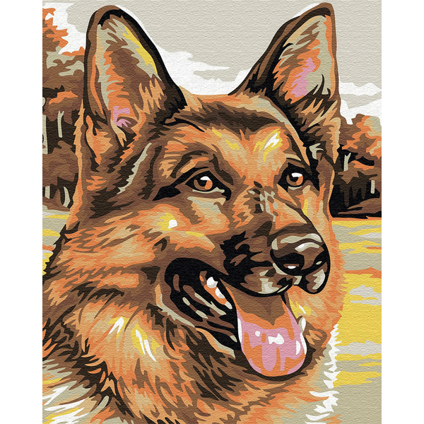 Картина по номерам Тварини, птахи та риби - Овчарка