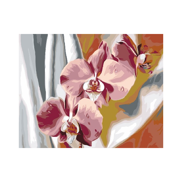 Картина по номерам Преміум картини - Красочные орхидеи