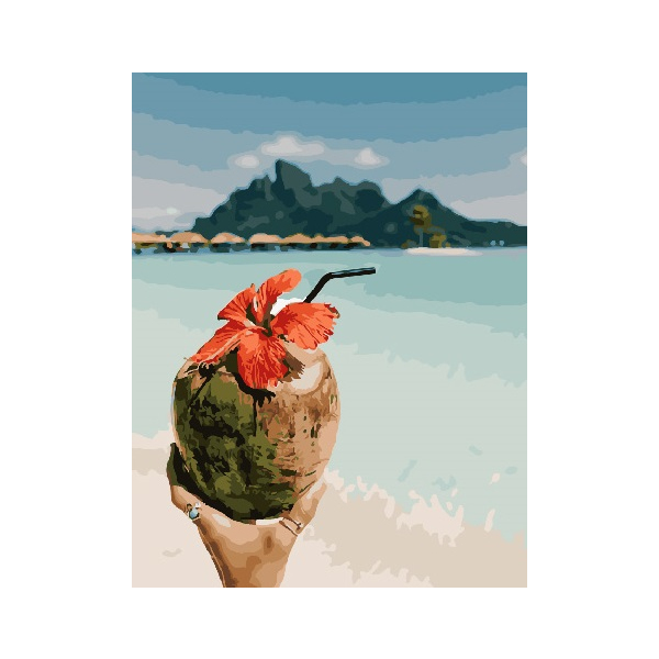 Картина по номерам Преміум картини - Кокосовые Мальдивы