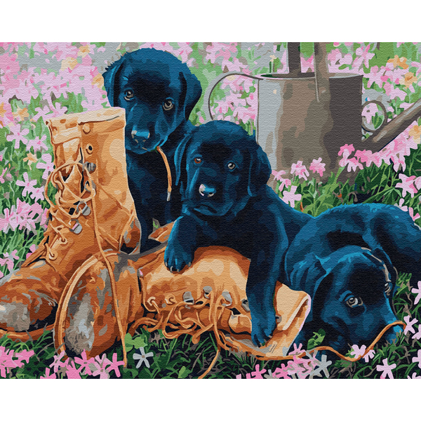 Картина по номерам Тварини, птахи та риби - Шалости щенят