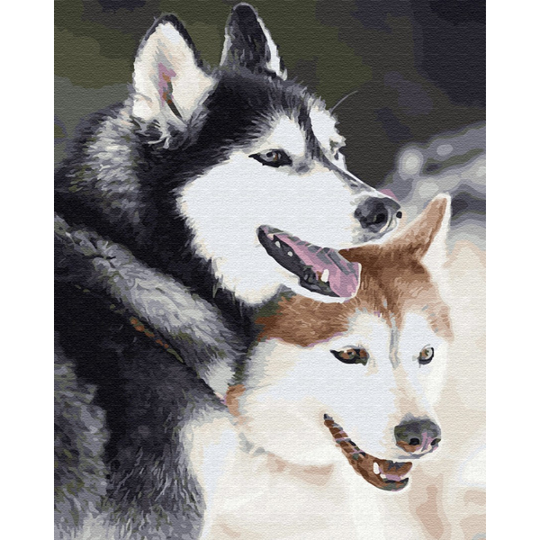 Картина по номерам Тварини, птахи та риби - Хаскі