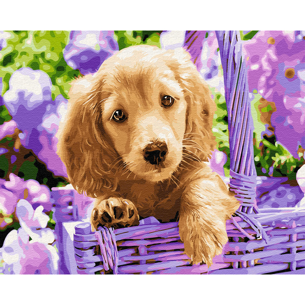 Картина по номерам Тварини, птахи та риби - Щеня в кошику