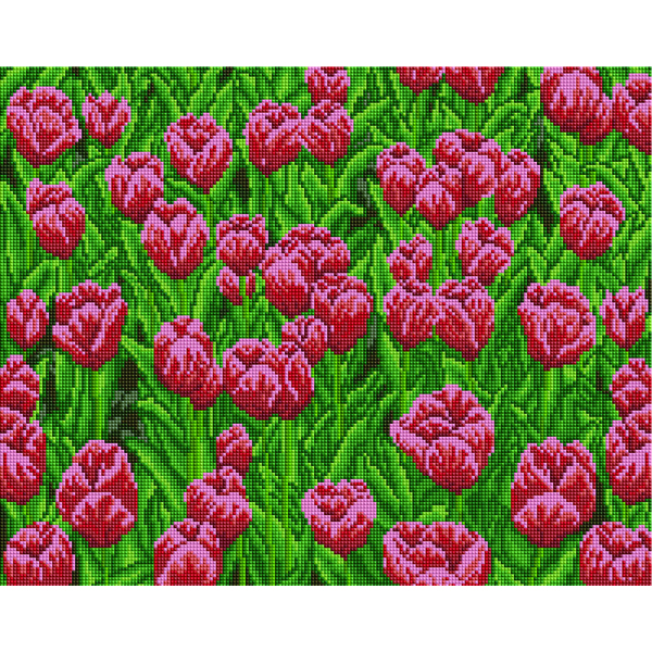 Алмазна мозаїка 40х50 - Поле розовых тюльпанов