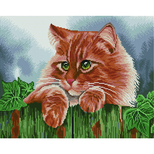 Алмазна мозаїка 40х50 - Зеленоокий кіт