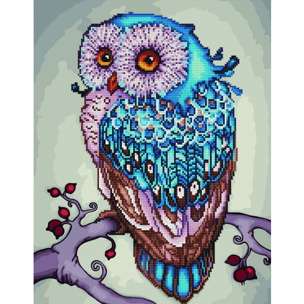 Комбінована алмазна мозаїка - Красива сова