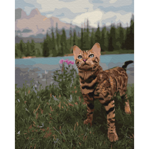 Картина по номерам Тварини, птахи та риби - Бенгальська кішка біля гір
