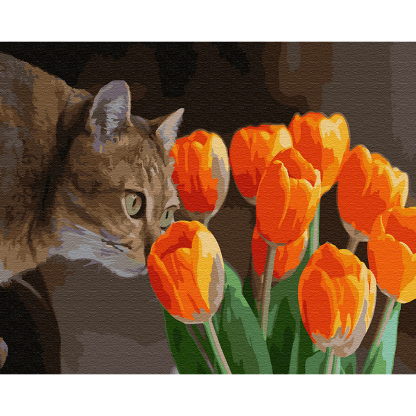 Картина по номерам Авторські колекції - Допитливий котик