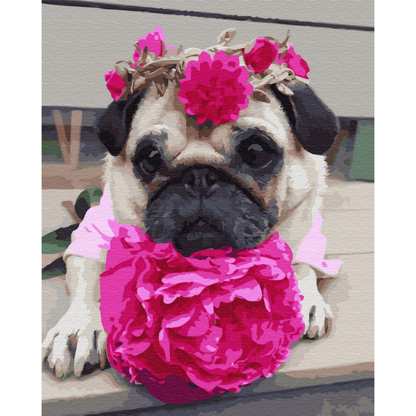 Картина по номерам Тварини, птахи та риби - Мопс в квітах