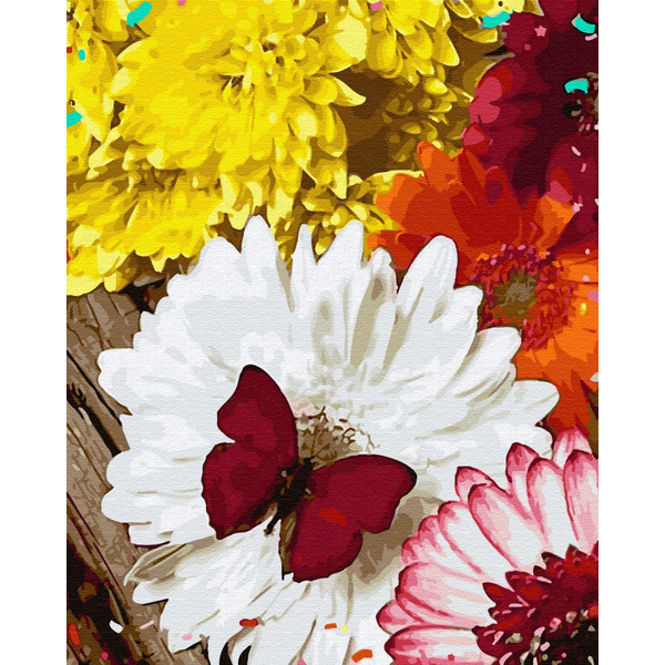 Картина по номерам Квіти - Метелик на Герберах