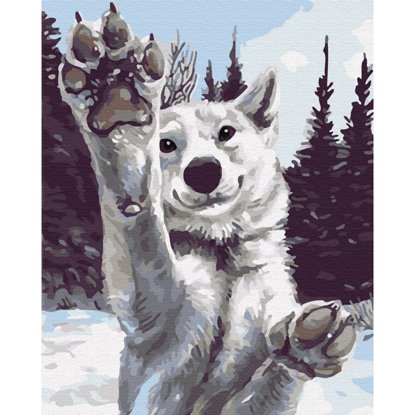 Картина по номерам Тварини, птахи та риби - Сніговий хаскі