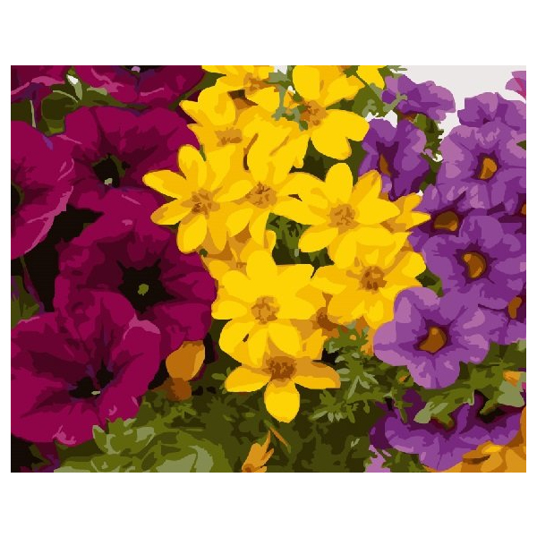 Картина по номерам Квіти - Різнобарвна клумба