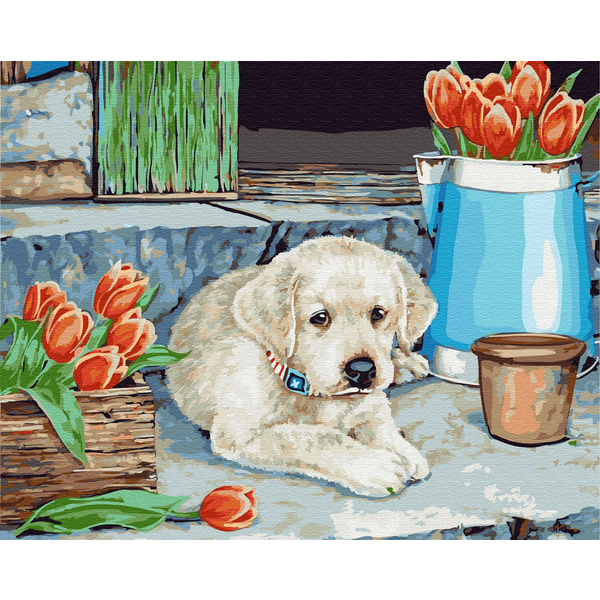 Картина по номерам Тварини, птахи та риби - Щеня лабладора