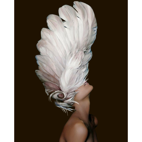 Картина по номерам Преміум картини - Женщина в перьях