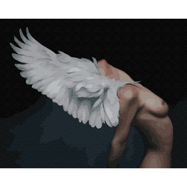 Картина по номерам Преміум картини - Душа наизнанку