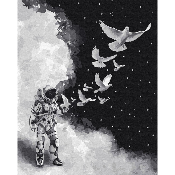 Картина по номерам Космос - Космічний політ