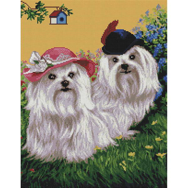 Алмазна мозаїка 40х50 - Милі болонки