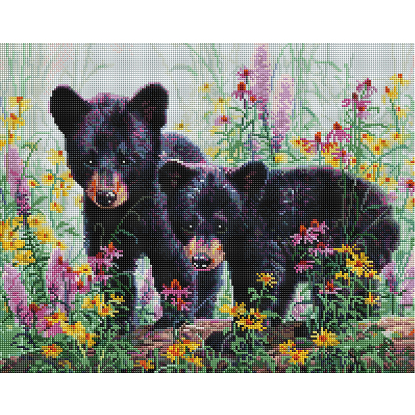 Алмазна мозаїка 40х50 - Ведмежата у квітах