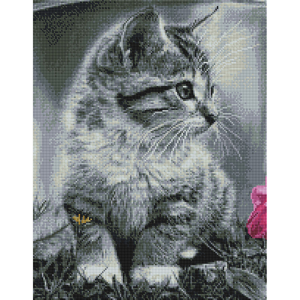 Алмазна мозаїка 40х50 - Кошеня