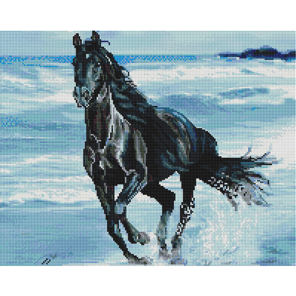 Алмазна мозаїка 40х50 - Чорний скакун
