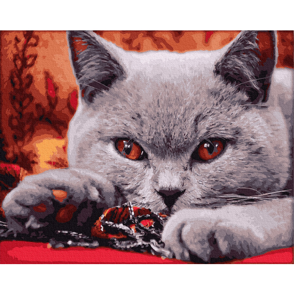 Картина по номерам Тварини, птахи та риби - Домашній хижак