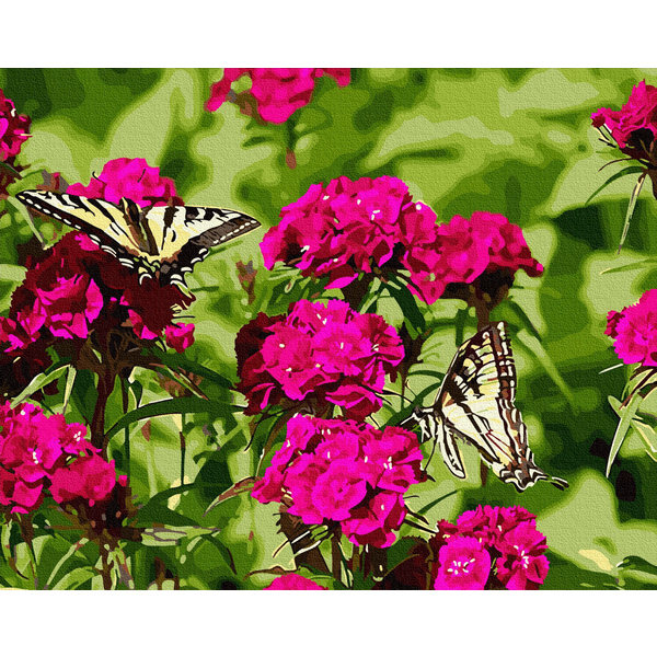 Картина по номерам Натюрморти - Метелики на квітах