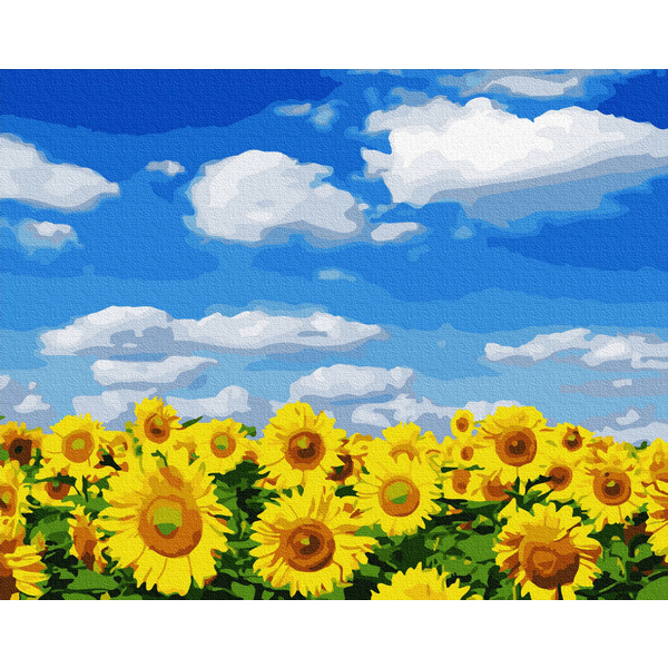 Картина по номерам Пейзажі - Соняшникове поле