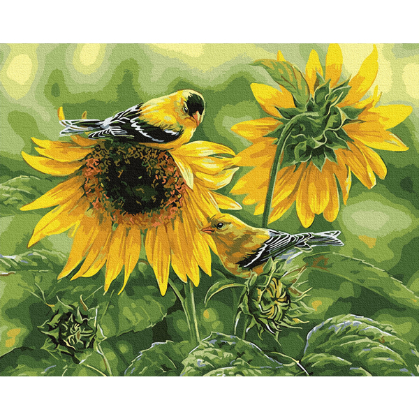 Картина по номерам Квіти - Соняшникові птахи