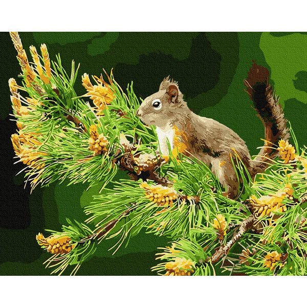 Картина по номерам Тварини, птахи та риби - Білочка