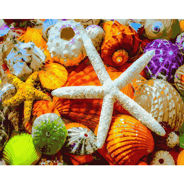 Картина по номерам Натюрморти - Морські скарби