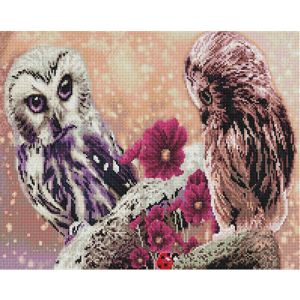 Алмазна мозаїка 40х50 - Совина пара