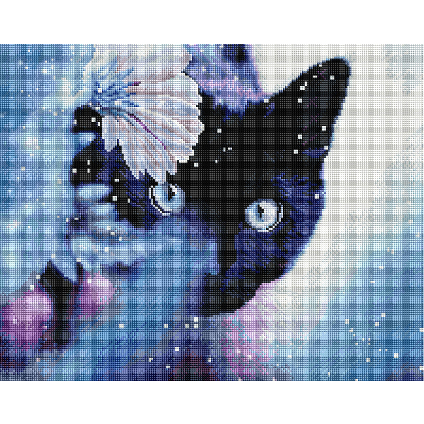 Алмазна мозаїка 40х50 - Цікавість