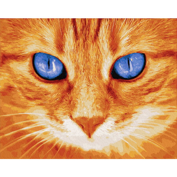 Картина по номерам Тварини, птахи та риби - Блакитноокий рижуля