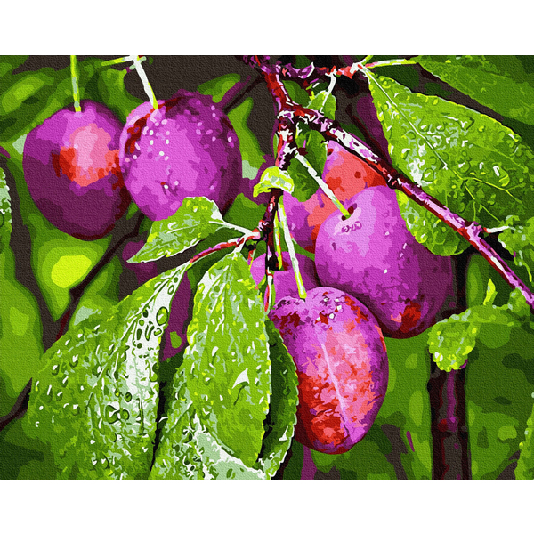 Картина по номерам Натюрморти - Сливи