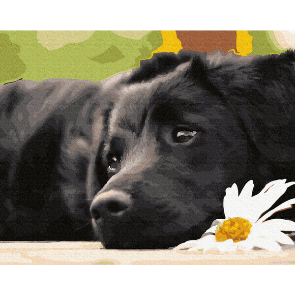 Картина по номерам Тварини, птахи та риби - Зачекавшись господаря