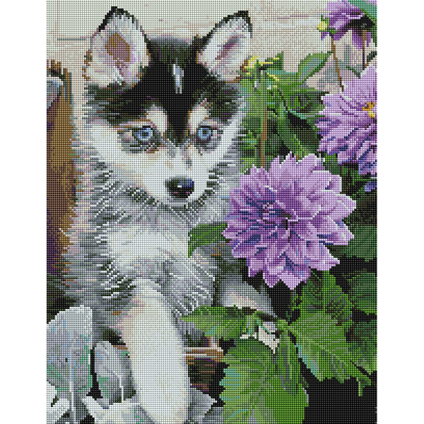 Алмазна мозаїка 40х50 - Цуценя хаскі і жоржини