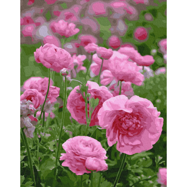 Картина по номерам Квіти - Яскраві піони