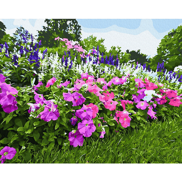 Картина по номерам Пейзажі - Квітуча петунія
