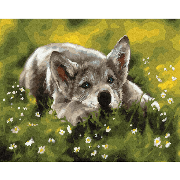 Картина по номерам Тварини, птахи та риби - Собачка в траві