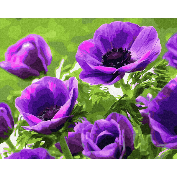 Картина по номерам Квіти - Фіолетові маки