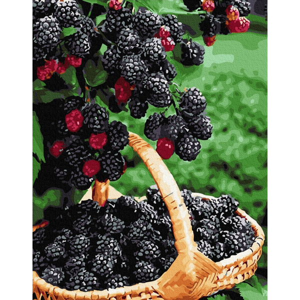 Картина по номерам Натюрморти - Стигла ожина