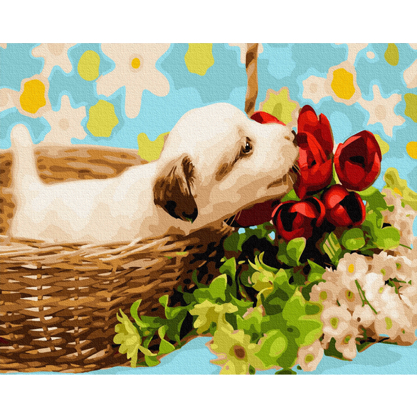 Картина по номерам Тварини, птахи та риби - Кольоровий бульдог