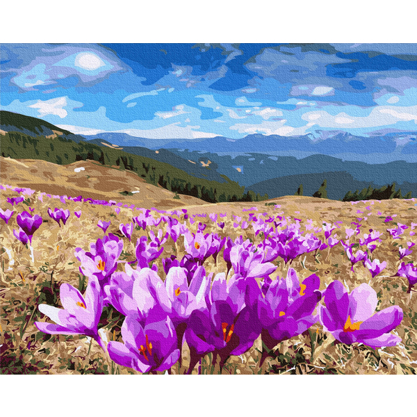 Картина по номерам Українські міста та ландшафти - Долина крокусів