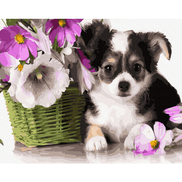 Картина по номерам Тварини, птахи та риби - Щенятка