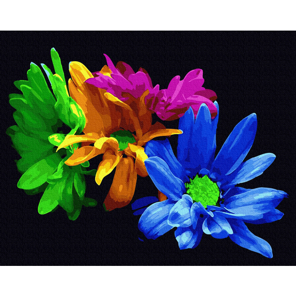 Картина по номерам Квіти - Яскраві хризантеми