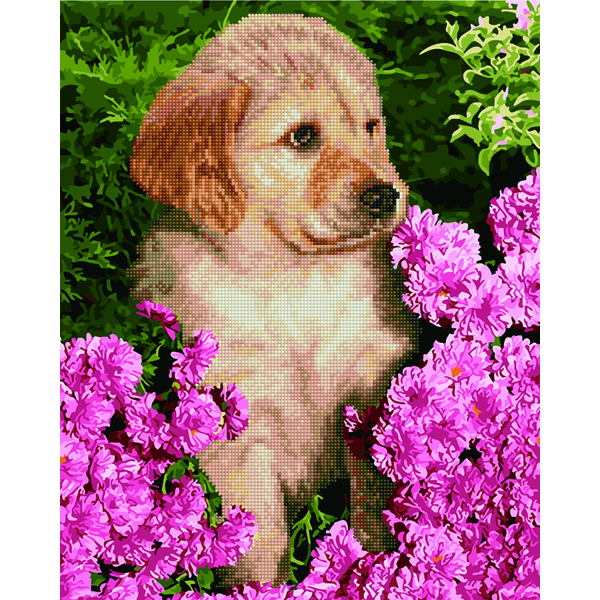 Комбінована алмазна мозаїка - Цуценя лабрадора в квітах