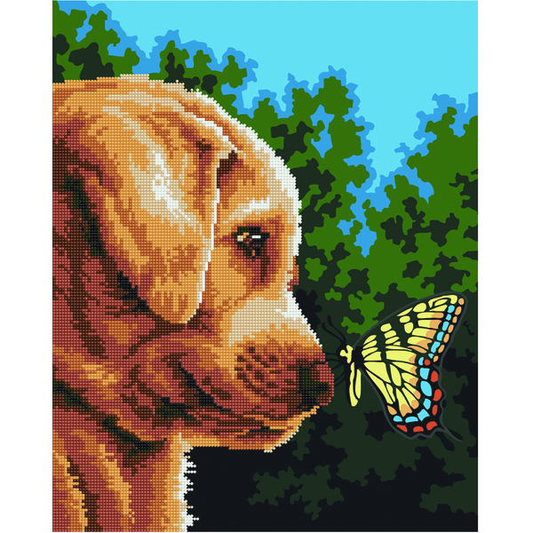 Комбінована алмазна мозаїка - Лабрадор і метелик