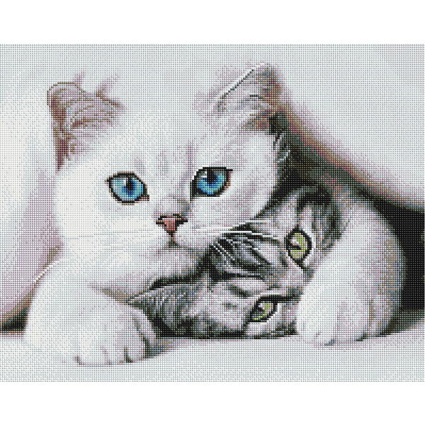 Алмазна мозаїка 40х50 - Нахабний котик