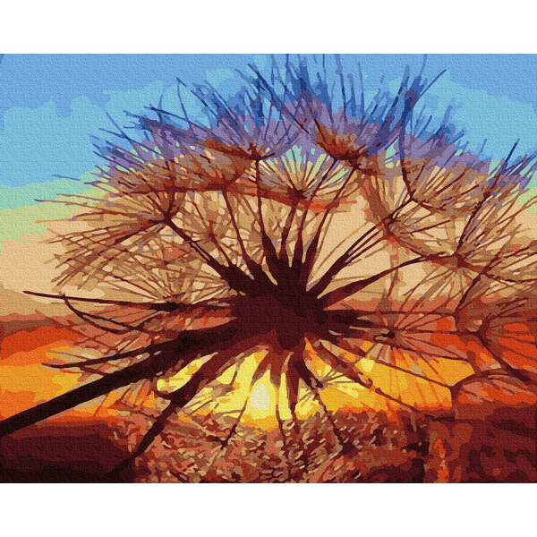 Картина по номерам Квіти - Кульбабка на заході літа